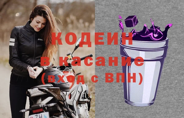 мяу мяу мука Абаза
