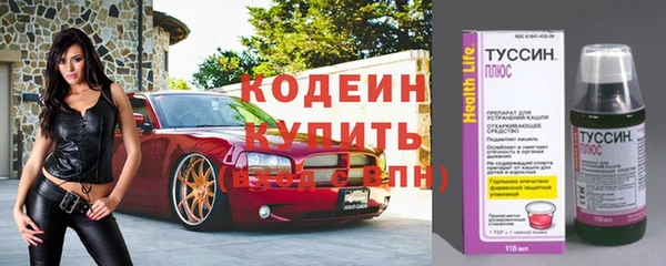 мяу мяу мука Абаза